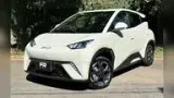 BYD Dolphin Mini - Miniatura 1