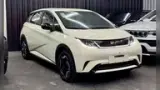 BYD Dolphin - Miniatura 1