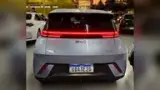 BYD Dolphin Mini - Miniatura 3