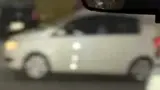 BYD Dolphin Mini - Miniatura 6