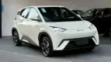 BYD Dolphin Mini - Miniatura 16