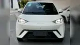 BYD Dolphin Mini - Miniatura 18