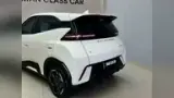 BYD Dolphin Mini - Miniatura 10