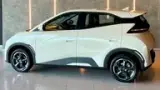BYD Dolphin Mini - Miniatura 4