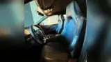 BYD Dolphin Mini - Miniatura 8