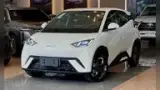 BYD Dolphin Mini - Miniatura 1