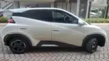 BYD Dolphin Mini - Miniatura 7