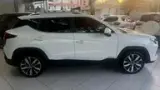 JAC E-js4 - Miniatura 12