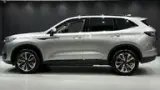 GWM Haval H6 Plug-in Hybrid - Miniatura 16