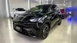 BYD Dolphin Mini - Miniatura 1