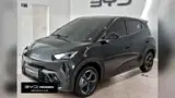 BYD Dolphin Mini - Miniatura 2
