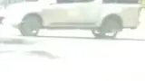 BYD Dolphin Mini - Miniatura 3