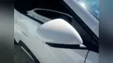 BYD Dolphin Mini - Miniatura 7