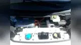 BYD Dolphin Mini - Miniatura 9