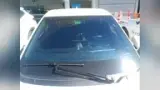 BYD Dolphin Mini - Miniatura 15