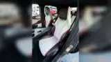 BYD Dolphin - Miniatura 10