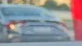 BYD Dolphin - Miniatura 12