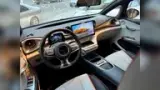 BYD Dolphin - Miniatura 4