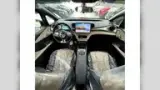 BYD Dolphin - Miniatura 2