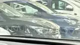 BYD Dolphin - Miniatura 4