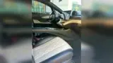 BYD Dolphin - Miniatura 17