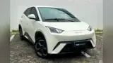 BYD Dolphin Mini - Miniatura 2