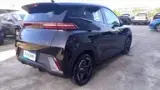BYD Dolphin Mini - Miniatura 6