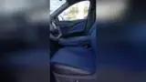 BYD Dolphin Mini - Miniatura 8
