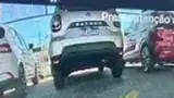 BYD Dolphin Mini - Miniatura 10