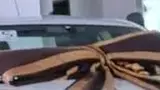 BYD Dolphin - Miniatura 7