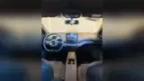 BYD Dolphin Mini - Miniatura 4