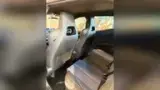 BYD Dolphin Mini - Miniatura 7
