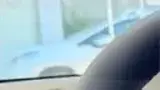 BYD Dolphin Mini - Miniatura 10