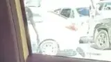 BYD Dolphin Mini - Miniatura 15