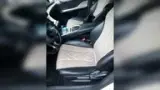 BYD Dolphin - Miniatura 11