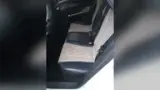 BYD Dolphin - Miniatura 12