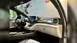 BYD Dolphin - Miniatura 9