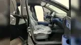 BYD Dolphin Mini - Miniatura 11