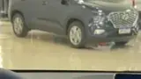 BYD Dolphin Mini - Miniatura 14