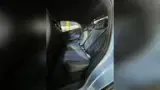 BYD Dolphin Mini - Miniatura 5