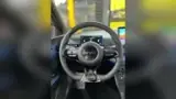 BYD Dolphin Mini - Miniatura 6