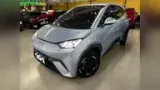 BYD Dolphin Mini - Miniatura 1