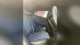 BYD Dolphin Mini - Miniatura 3