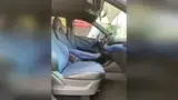 BYD Dolphin Mini - Miniatura 4