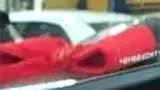 BYD Dolphin Mini - Miniatura 2