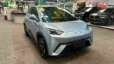 BYD Dolphin Mini - Miniatura 4