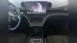 BYD Dolphin Plus - Miniatura 8