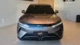 BYD Yuan Pro - Miniatura 2
