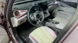 BYD Dolphin - Miniatura 9