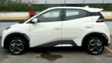 BYD Dolphin Mini - Miniatura 5
